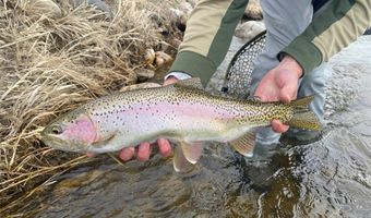 Riverway Road lot 15 A Tbd, Belgrade, MT 59714