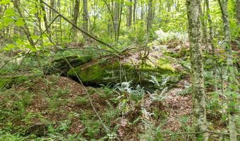 Timberland Drive, Andes, NY 13731