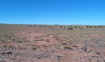 Concho Park Estates Unit 583, Concho, AZ 85924