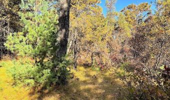 10 Acres County Road C, Arkdale, WI 54613