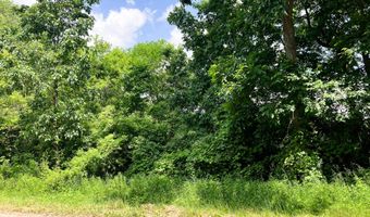 9260 92nd St SE, Alto, MI 49302