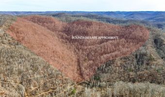 9999 Honeycutt Branch Turkey Crk, Barbourville, KY 40906