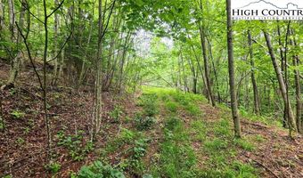 Tbd Teaster Valley Lane, Banner Elk, NC 28604