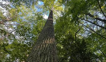 0 Military Rd, Beaverton, AL 35544