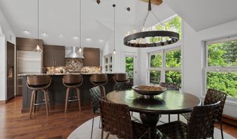 925 E DURANT Avenue 2, Aspen, CO 81611