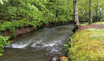 60 Bartram Trl, Scaly Mountain, NC 28775