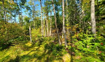 Lot 13-1 W. McMann & Meadow Roads, Addison, ME 04606