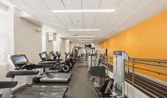 21 Father Francis Gilday 309, Boston, MA 02118