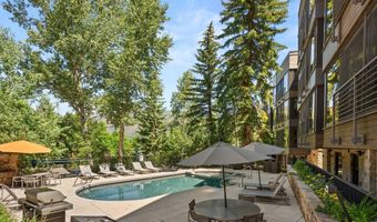 728 S Galena St 202-B, Aspen, CO 81611
