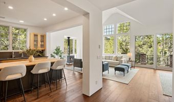 302 Wild Spring Ln, Basalt, CO 81621