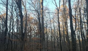 15548 Highway 15 N, Ackerman, MS 39735