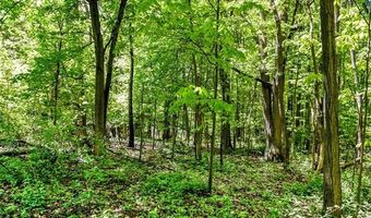 2905 N Lake Pleasant Rd, Arcadia, MI 48412