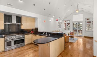 824 Bonita Dr, Aspen, CO 81611