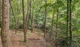 1034 Chestnut Flats Rd, Andrews, NC 28901