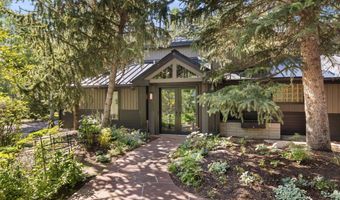 1145 Black Birch Dr, Aspen, CO 81611