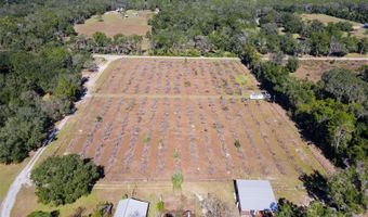 18250 RAVENSWOOD Rd, Altoona, FL 32702