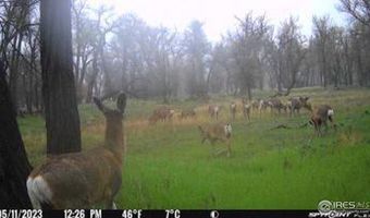 0 County Road 170, Agate, CO 80101
