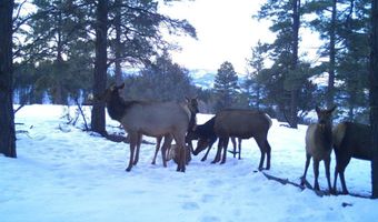 20861 Hwy 160, Bayfield, CO 81122