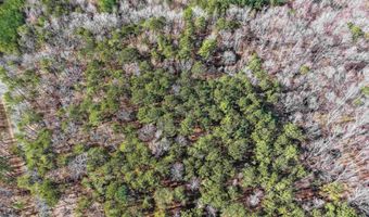 15045 LOCK 17 Rd Lot 1, Adger, AL 35006