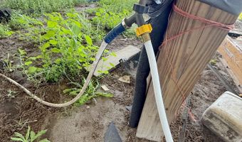 6491 Wolf Pond Rd, Bascom, FL 32423