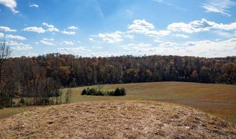 273 AIRSPORTS Dr, Amherst, VA 24521