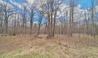 Pioneer Avenue, Aitkin, MN 56431
