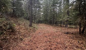 13150 E BUNCO Rd, Athol, ID 83801