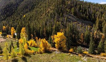976 Wildwater Way, Almont, CO 81210