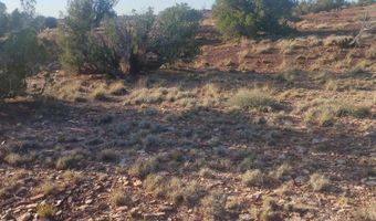 156 N9046, Concho, AZ 85924