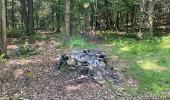Cr-38, Alma, NY 14708
