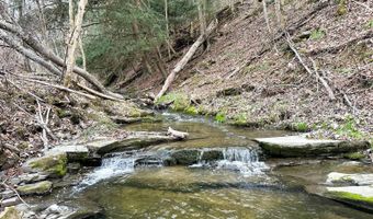 VL Lot 10 Brennan Road, Addison, NY 14801