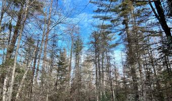 45 Ac On LENA Rd, Alvin, WI 54542