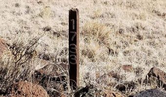 29 County Road 8069, Concho, AZ 85924