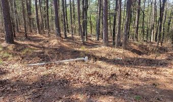 34 NE E St, Antlers, OK 74523