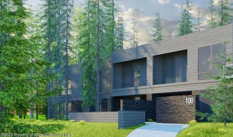 103 Willow Rd 203, Basalt, CO 81621