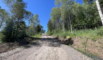 1041 HARMONY CREEK Dr, Afton, WY 83110