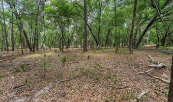 SE 152ND - LOT 17 RAVENSWOOD RD PARCEL C Place, Altoona, FL 32702