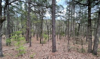 175626 Boulder Rd, Antlers, OK 74523