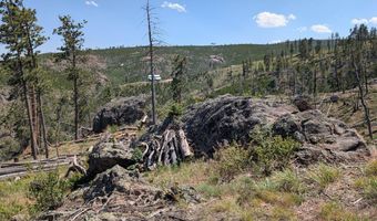 Old Camp Rd, Bellvue, CO 80512