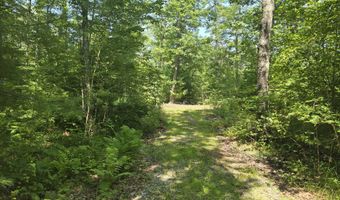 Head Tide Hill Road, Alna, ME 04535