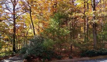 456 Mills Gap Rd, Arden, NC 28704
