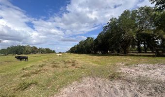 WASHINGTON STREET, Arcadia, FL 34266