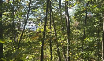 HURT HOLLOW RD, Banco, VA 22711