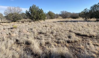 3160 W Mesa Dr, Ash Fork, AZ 86046