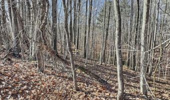 0 Reed Creek Dr, Bassett, VA 24055