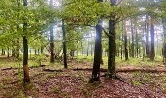 450 Apple Trl, Bogue Chitto, MS 39629
