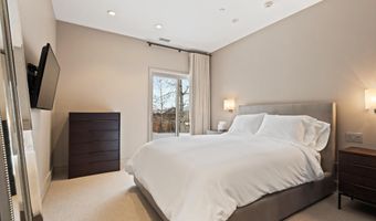 730 S Galena St, Aspen, CO 81611