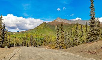 L7 S Red Rooster Road, Chickaloon, AK 99674