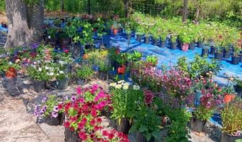 247 Horseshoe Trl, Barnwell, SC 29812