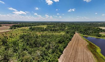 Lot # 1 - 6.2 Ac Perry Horton, Adrian, GA 31002